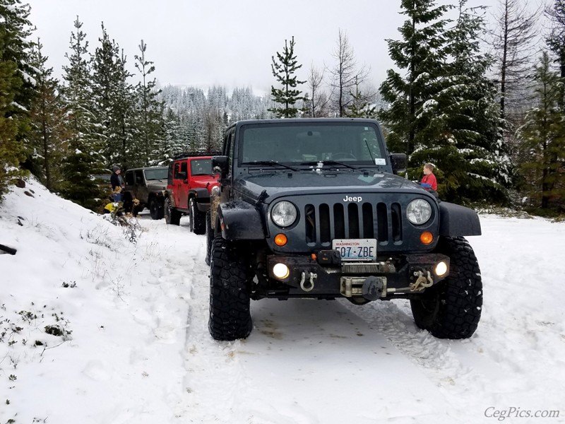 Christmas Tree Jeeping