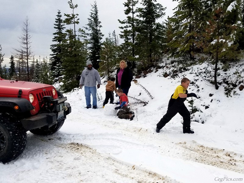 Christmas Tree Jeeping