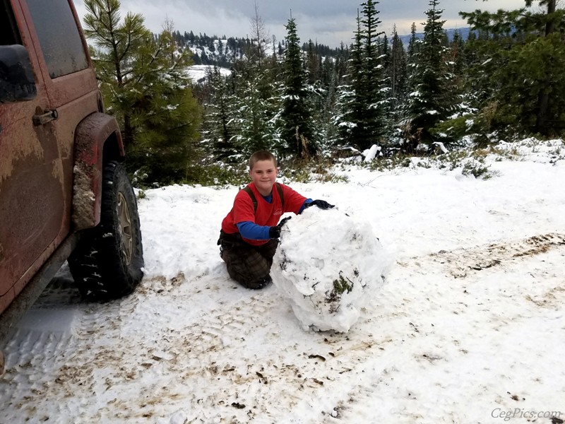 Christmas Tree Jeeping