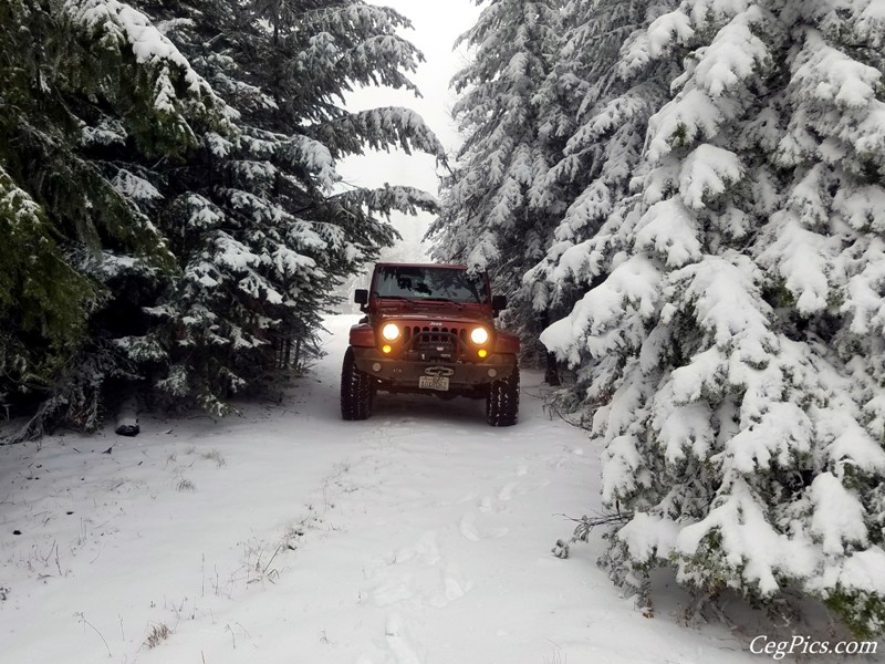 Christmas Tree Jeeping