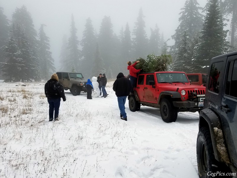 Christmas Tree Jeeping