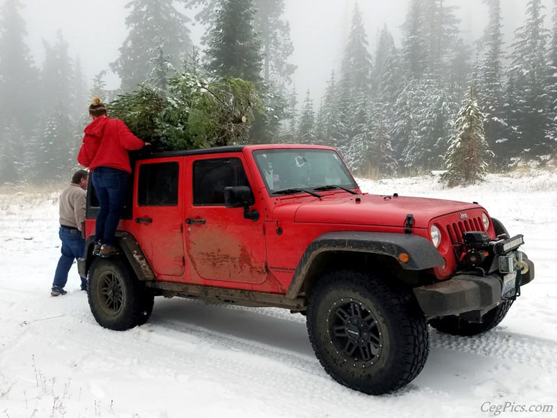 Christmas Tree Jeeping