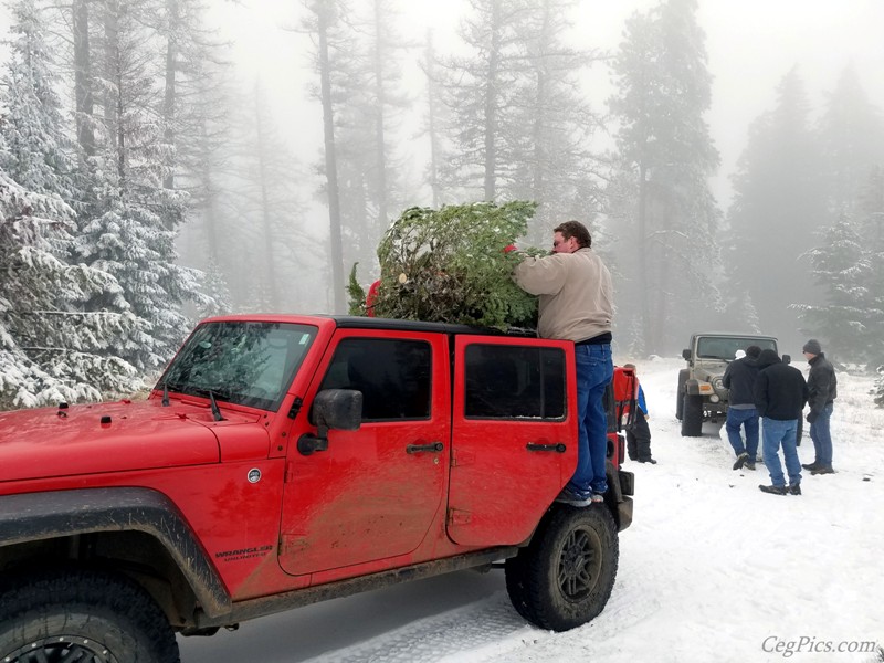 Christmas Tree Jeeping