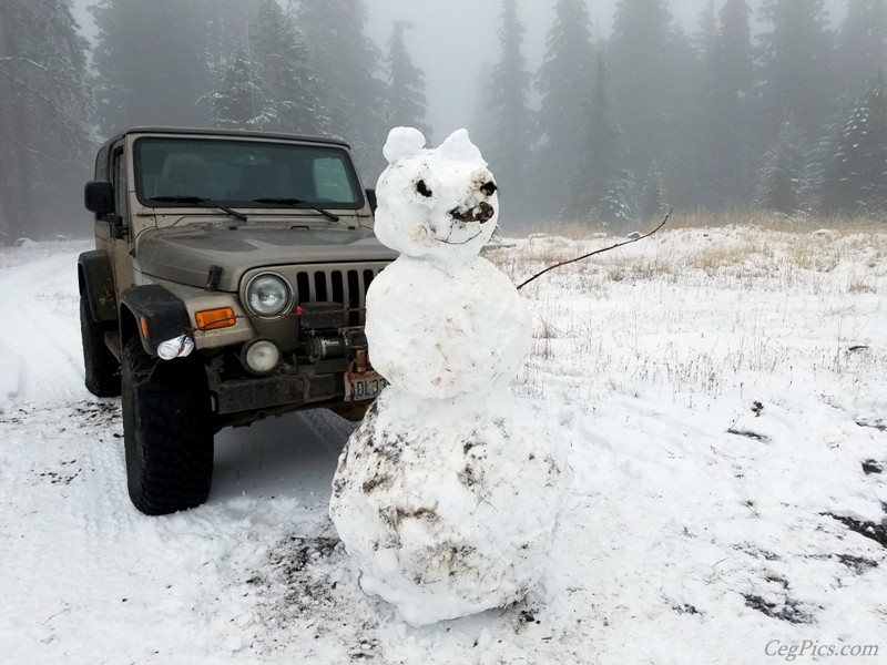 Christmas Tree Jeeping