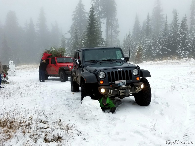 Christmas Tree Jeeping