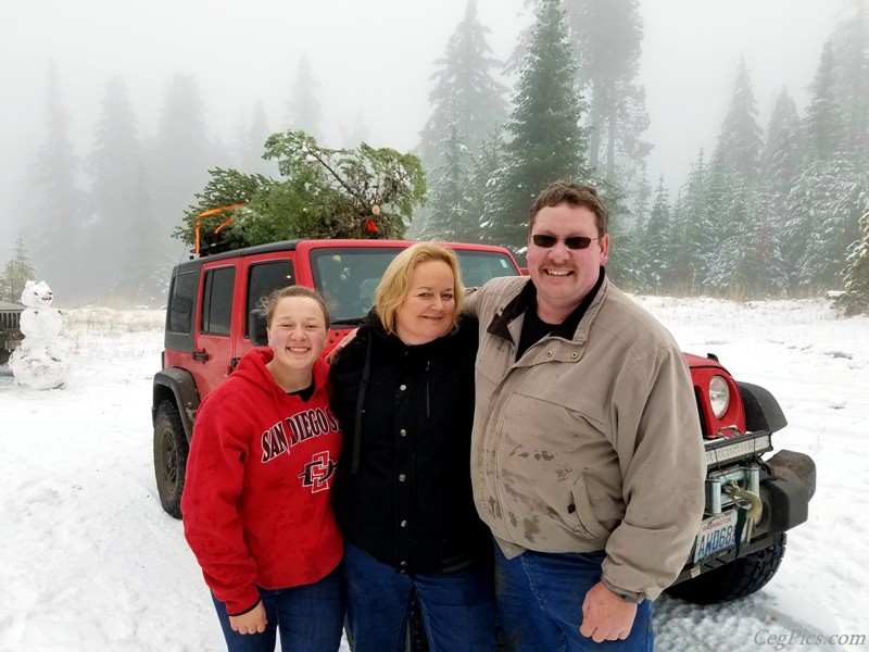 Christmas Tree Jeeping