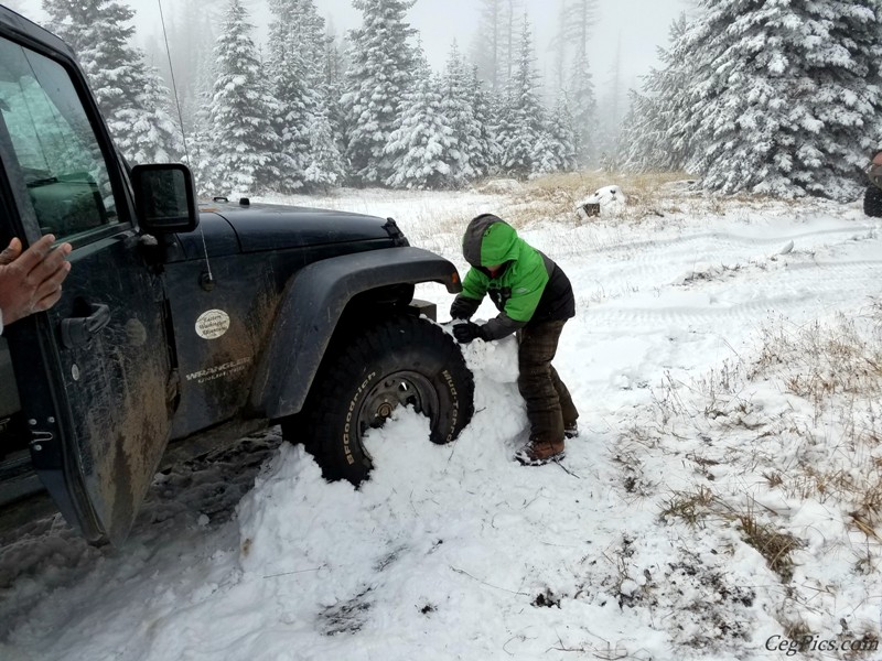 Christmas Tree Jeeping