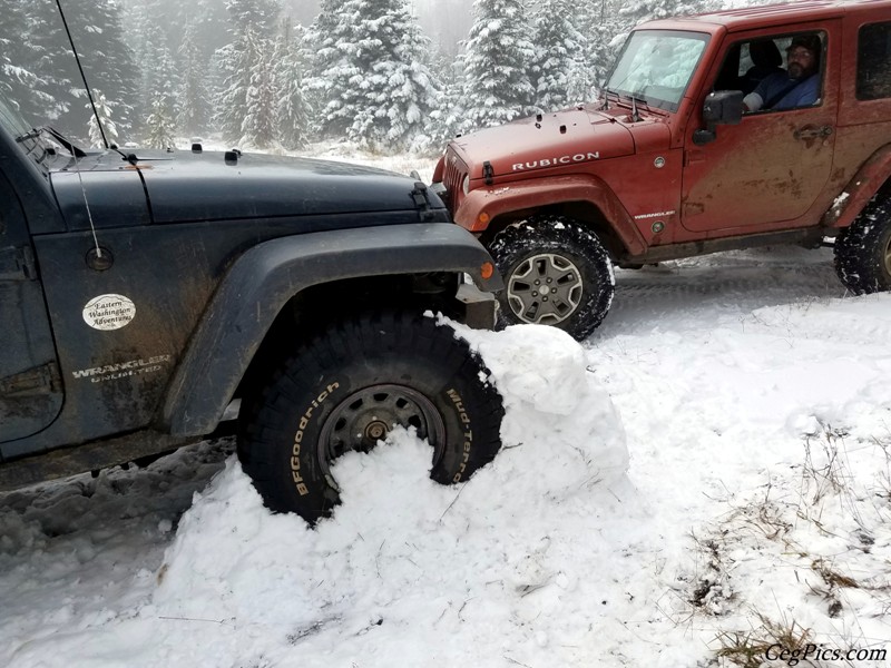 Christmas Tree Jeeping