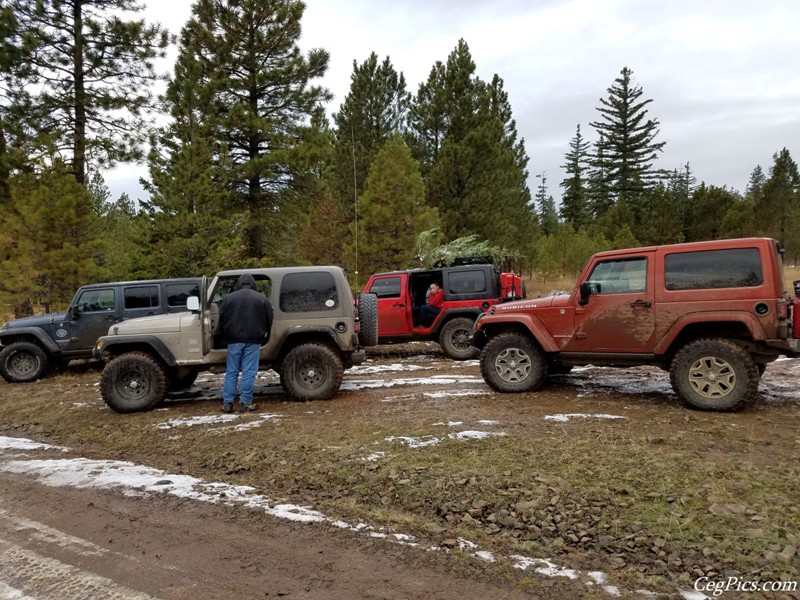 Christmas Tree Jeeping