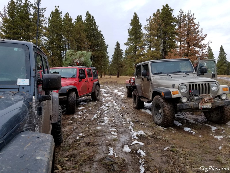 Christmas Tree Jeeping