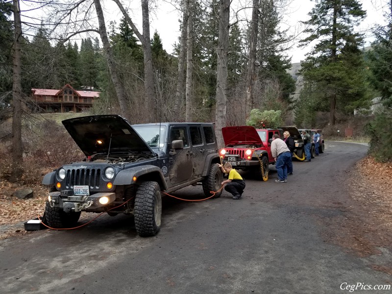 Christmas Tree Jeeping