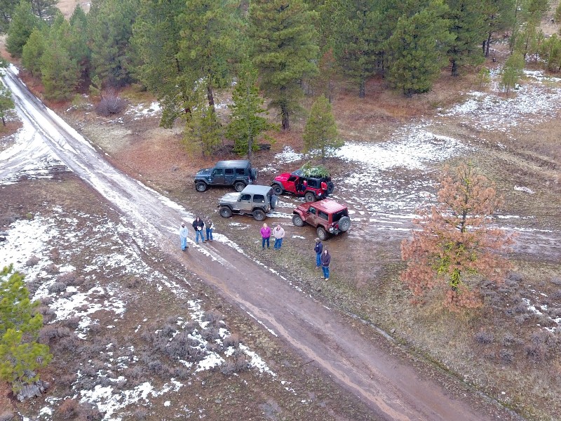 Christmas Tree Jeeping