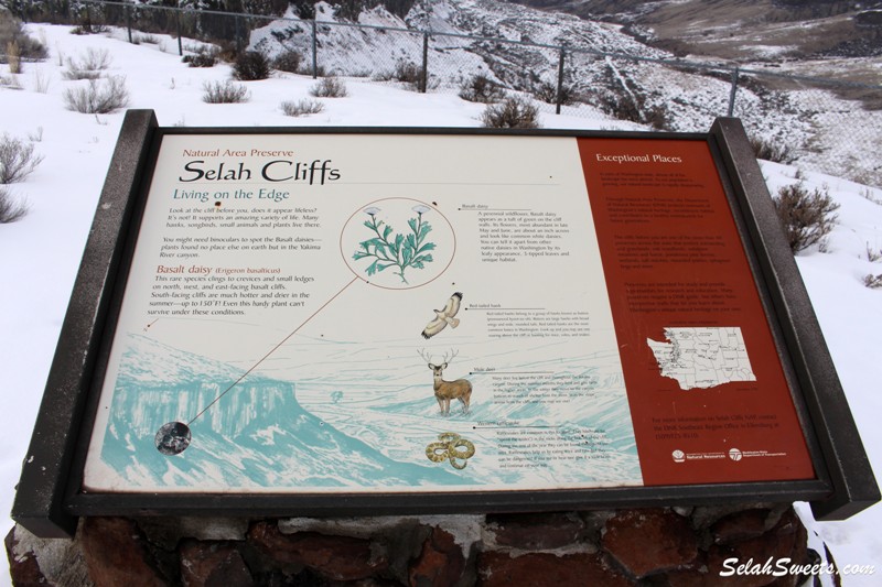 Selah Creek Rest Area