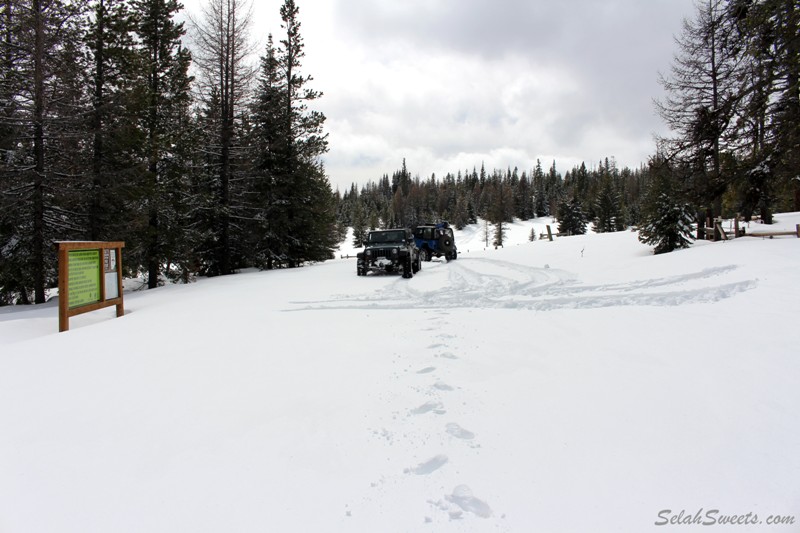 Colockum Snow Wheeling