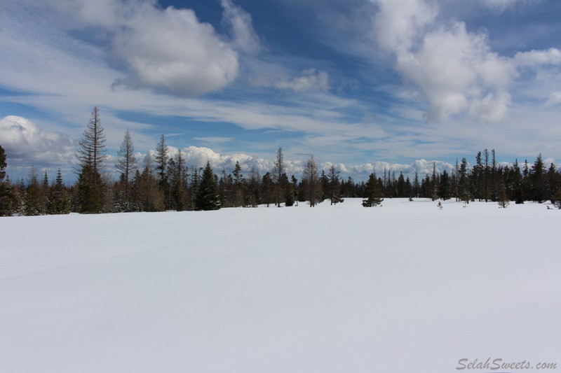 Colockum Snow Wheeling