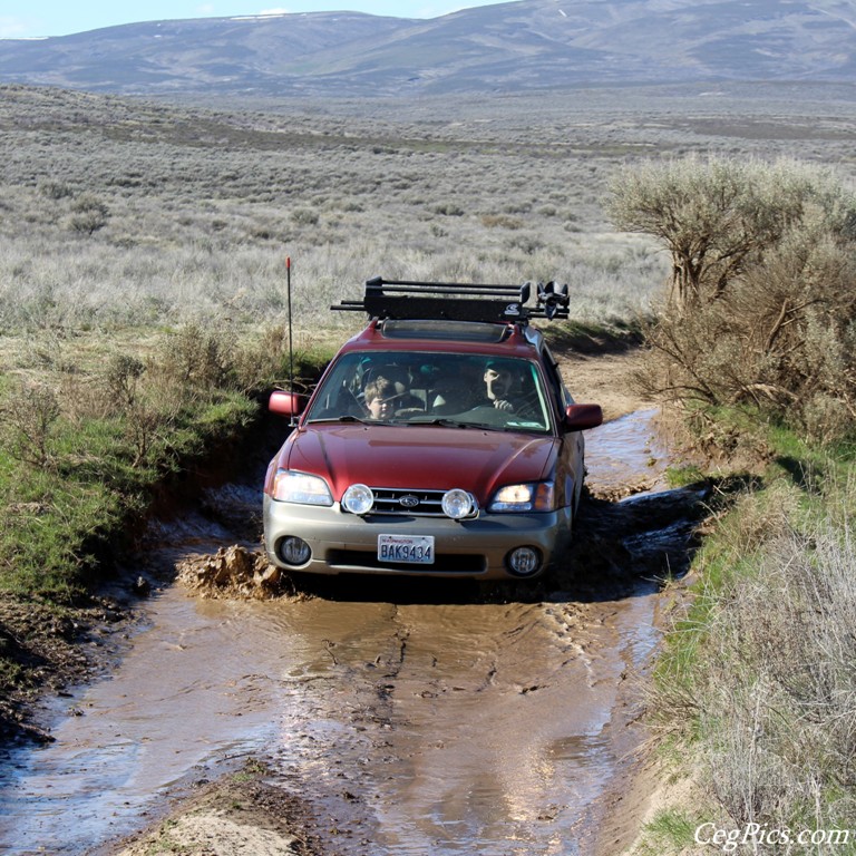 Wenas Wildlife Area