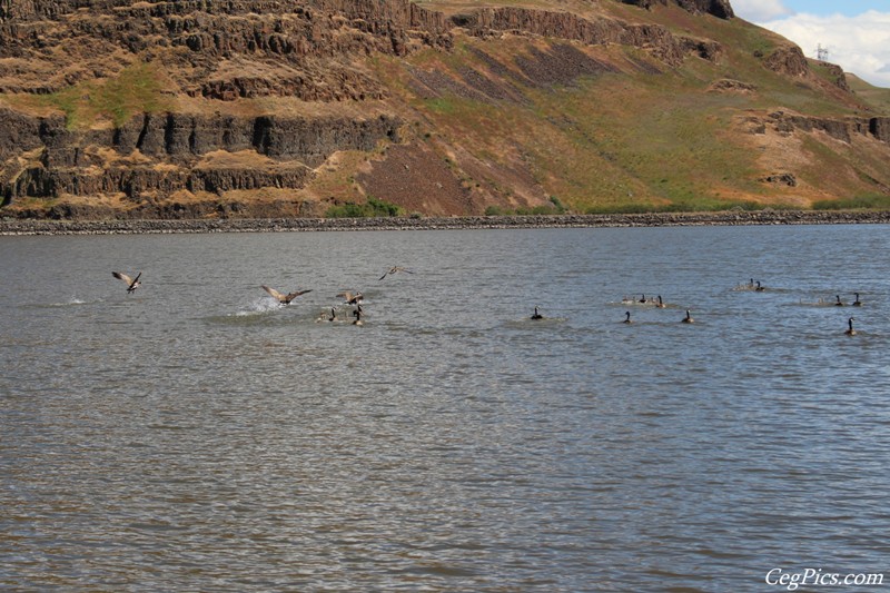 Eastern Washington