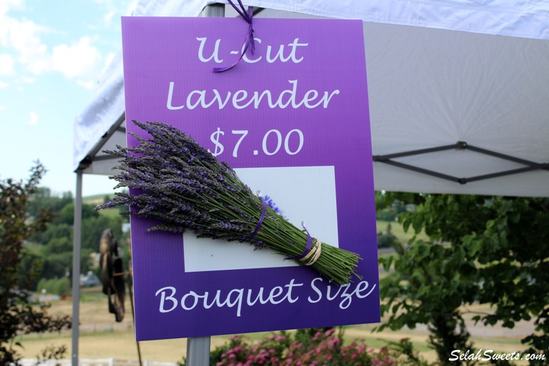 Selah Ridge Lavender Farm