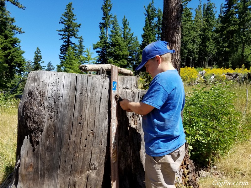 Ahtanum State Forest Trail Work Week