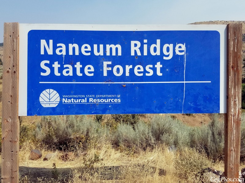 Naneum Ridge