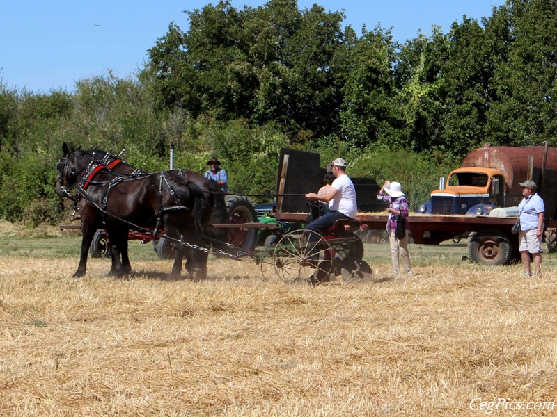 Pioneer Power Show & Swap Meet