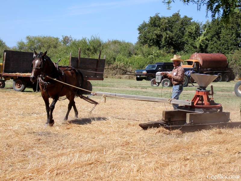 Pioneer Power Show & Swap Meet