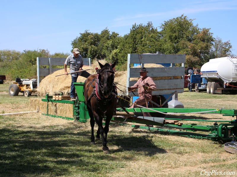 Pioneer Power Show & Swap Meet