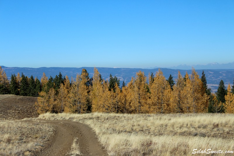 Cleman Mountain 4x4 Run