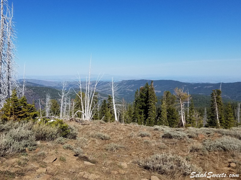 Ahtanum State Forest