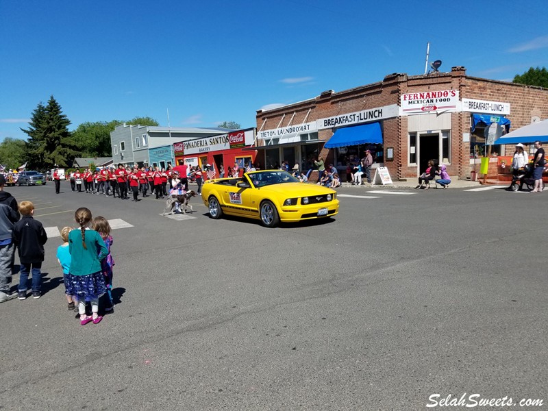 Highland Country Fair