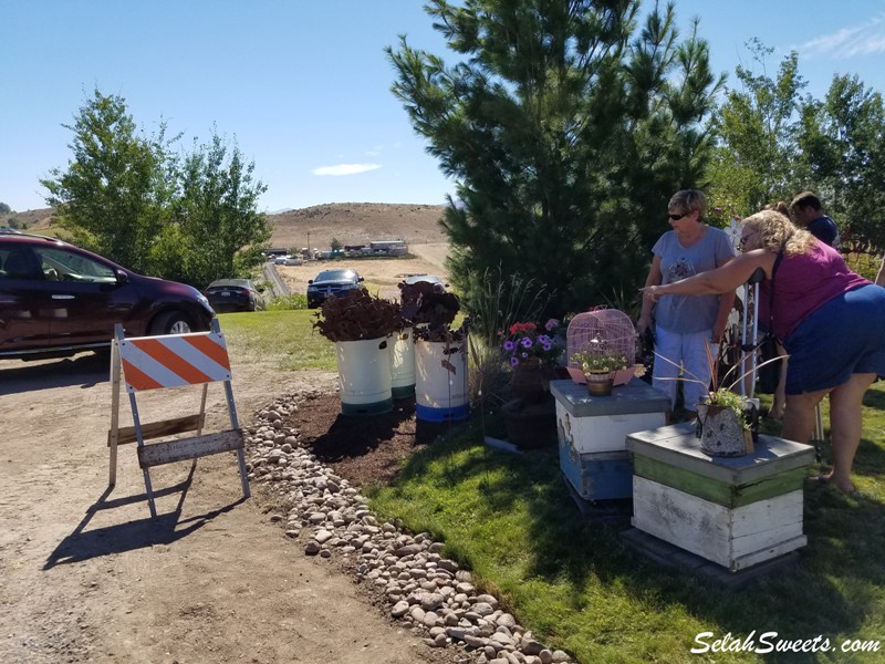 Selah Ridge Lavender Farm