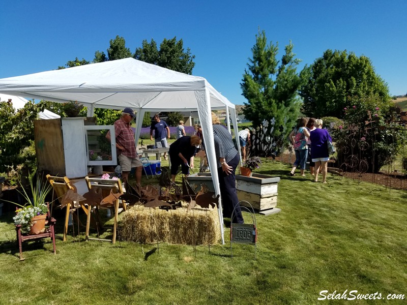 Selah Ridge Lavender Farm