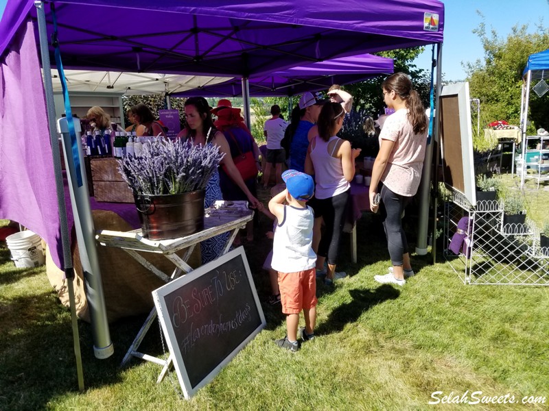 Selah Ridge Lavender Farm