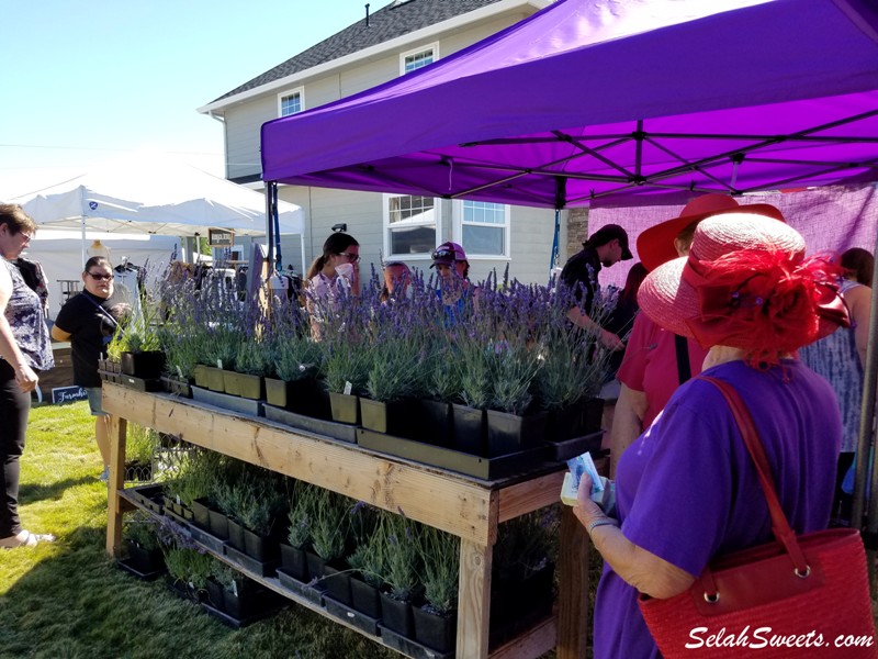 Selah Ridge Lavender Farm