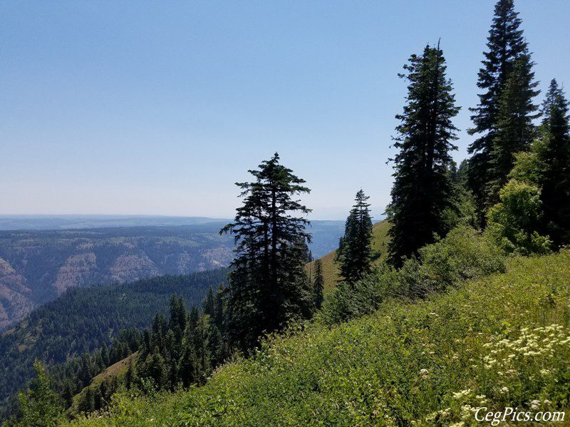 Blue Mountains