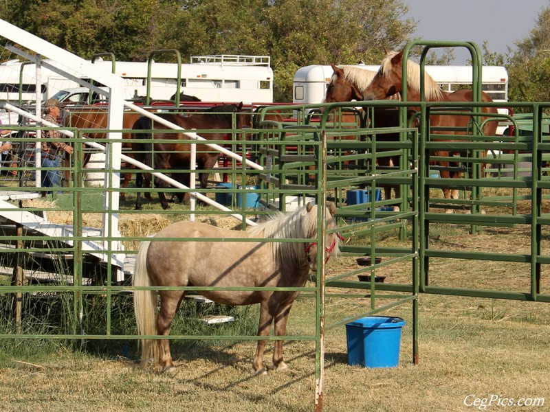 Pioneer Power Show & Swap Meet