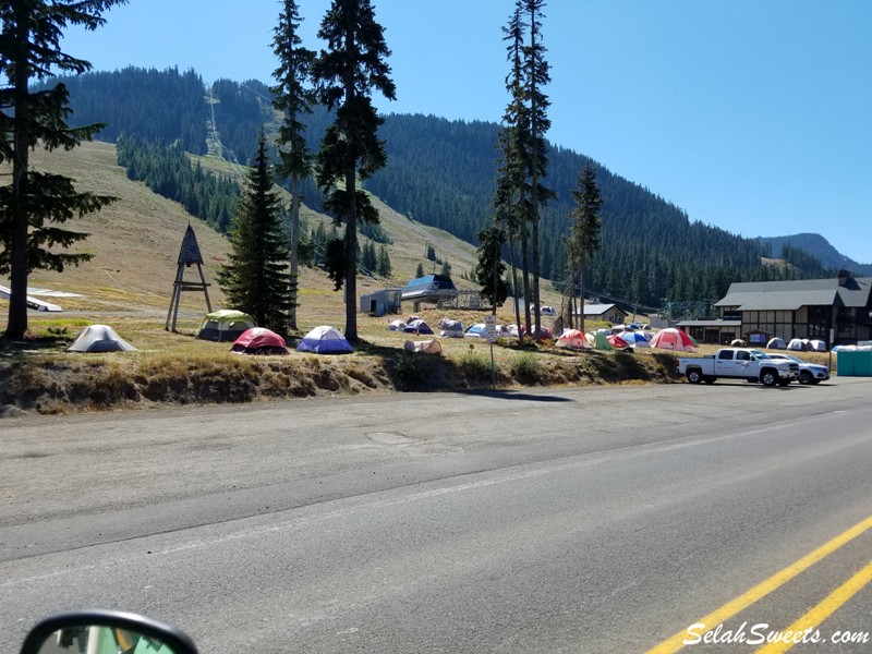 Packwood Flea Market