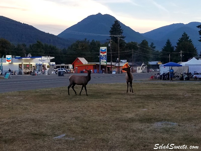 Packwood Flea Market