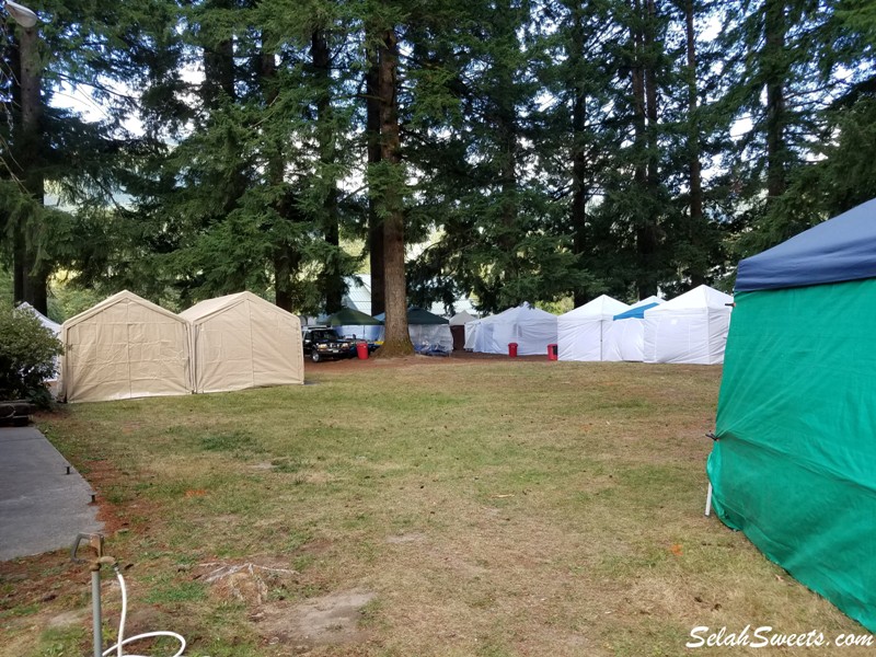 Packwood Flea Market