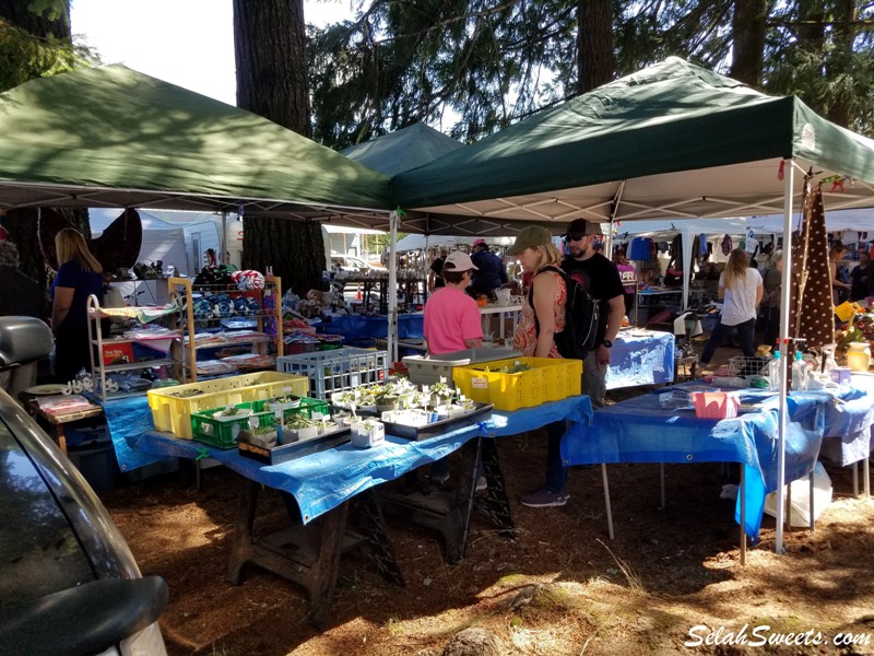 Packwood Flea Market