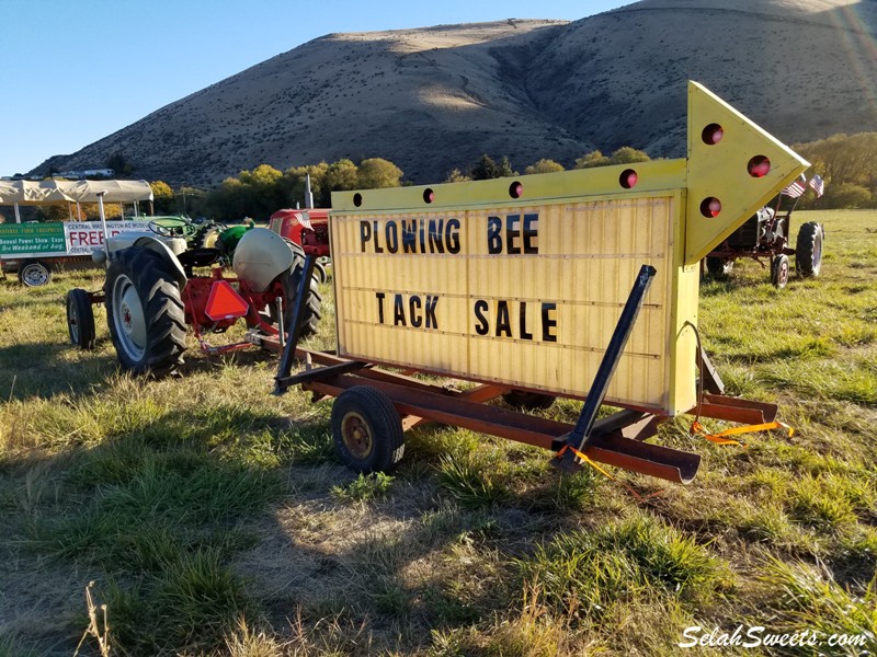 Plowing Bee