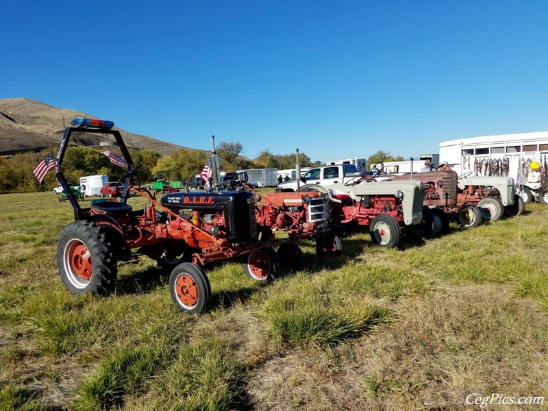 Plowing Bee