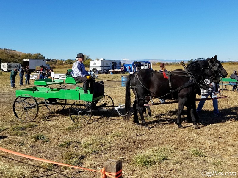 Plowing Bee