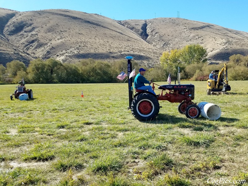 Plowing Bee