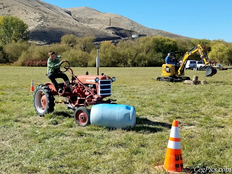 Plowing Bee