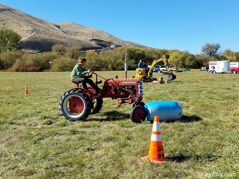 Plowing Bee