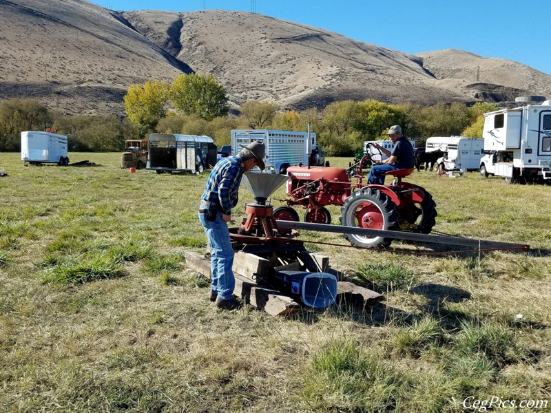 Plowing Bee