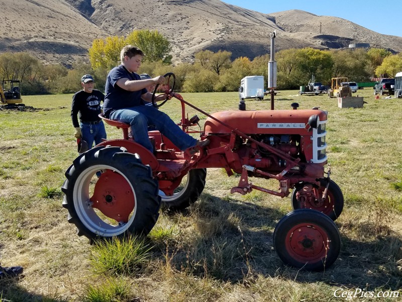 Plowing Bee