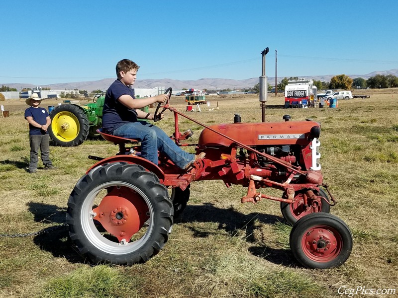 Plowing Bee