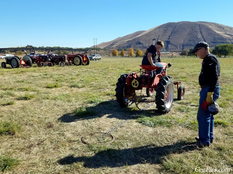 Plowing Bee